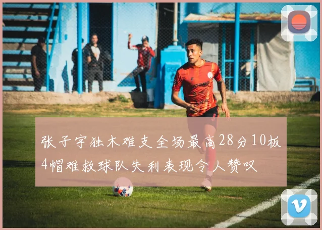 张子宇独木难支全场最高28分10板4帽难救球队失利表现令人赞叹