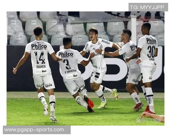 巴甲赛季落幕仅两队无洲际赛资格且不降级桑托斯将征战南美杯